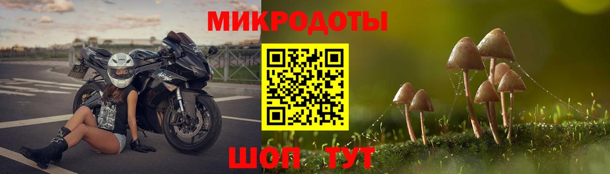 Грязи  Псилоцибиновые грибы GOLDEN TEACHER  Вход с VPN 